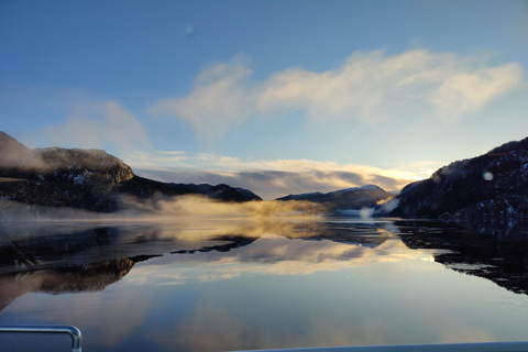 Desde Bergen: Crucero panorámico por los fiordos hasta MostraumenDesde Bergen: crucero panorámico por los fiordos hasta Mostraumen