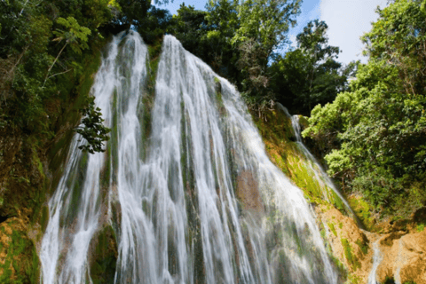 Punta Cana: Tour Samana Experience Cayo levantado El Limon