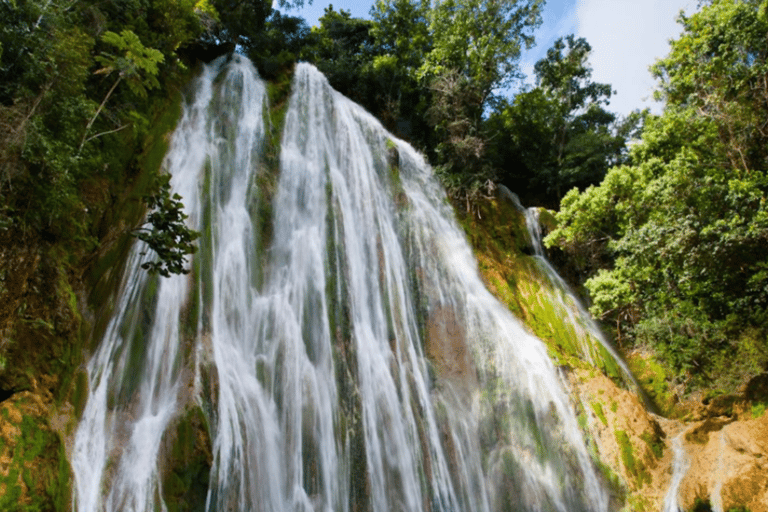 Punta Cana: Tour Samana Experience Cayo levantado El Limon