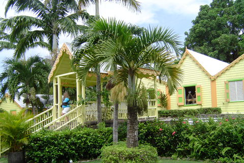 Halve dag bustour naar St. Kitts Island