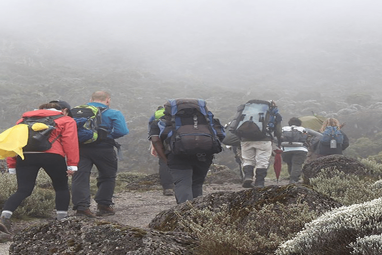 9-Day Mount Kilimanjaro via Lemosho Crater Route