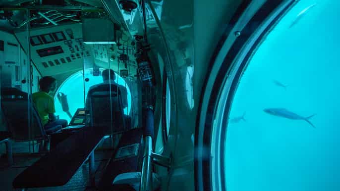 tour sinmar submarino de 3 horas em sinbad saindo de hurghada