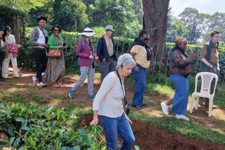 Kiambethu Tea Farm Tour with Lunch