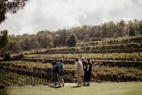 Full-day Etna 4x4 excursion with winery lunch from CataniaPrivate tour for 3 people