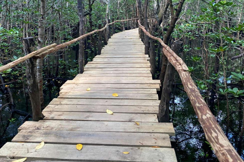 ZANZIBAR: Las Jozani, jaskinia Salaam, The Rock i Blue LagoonWYCIECZKA PRYWATNA BEZ ODBIORU Z HOTELU I TRANSPORTU POWROTNEGO