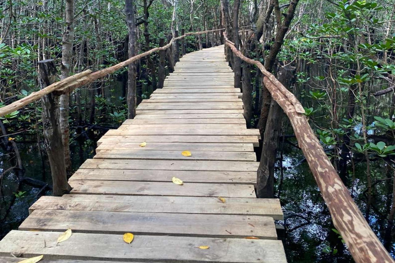 ZANZIBAR: Las Jozani, jaskinia Salaam, The Rock i Blue LagoonWYCIECZKA PRYWATNA BEZ ODBIORU Z HOTELU I TRANSPORTU POWROTNEGO