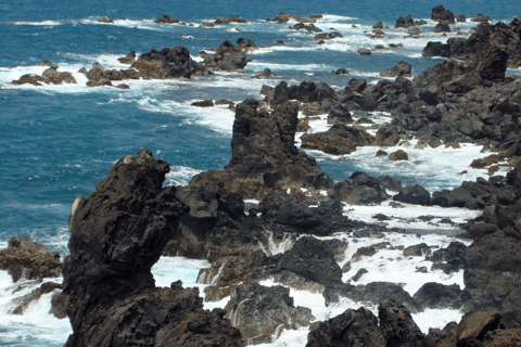 Pełna wycieczka po wyspie St. Kitts Island: 4 godzinyWycieczka taksówką St. Kitts