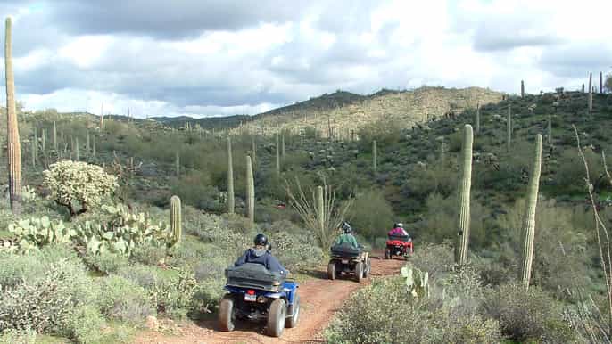 box canyon and pinal mountains halfday atv tour