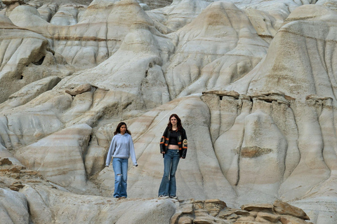 Day of Dinosaurs and Hoodoos From Calgary to Drumheller