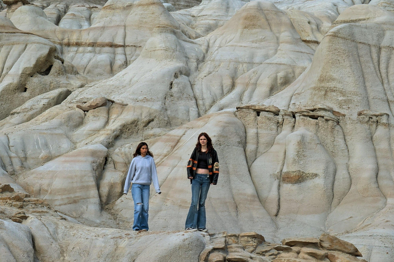 Day of Dinosaurs and Hoodoos From Calgary to Drumheller