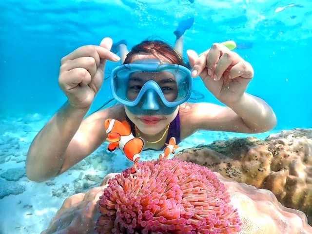 Visit From Pattaya Private Speedboat to Nemo Island with Snorkel in Pattaya