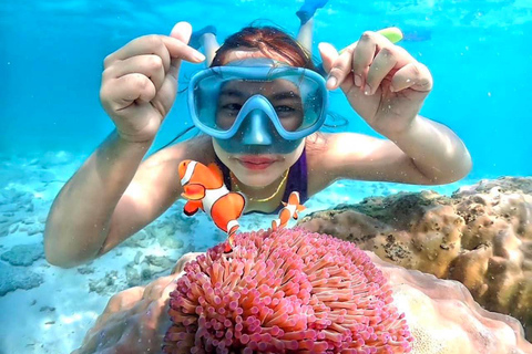 From Pattaya: Private Speedboat to Nemo Island with Snorkel From Pattaya: Private Speedboat Tour Samaesan with Snorkel