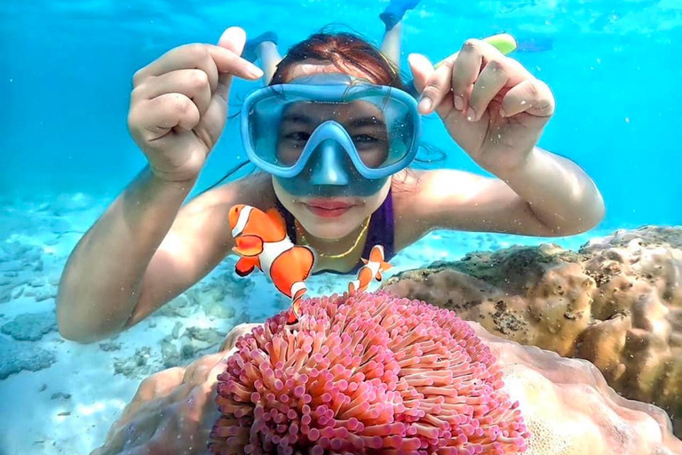 From Pattaya: Private Speedboat to Nemo Island with Snorkel From Pattaya: Private Speedboat Tour Samaesan with Snorkel