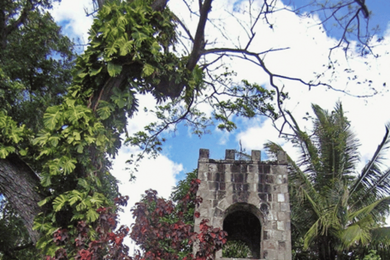 Tour de medio día a la selva tropical en San Cristóbal desde Basseterre