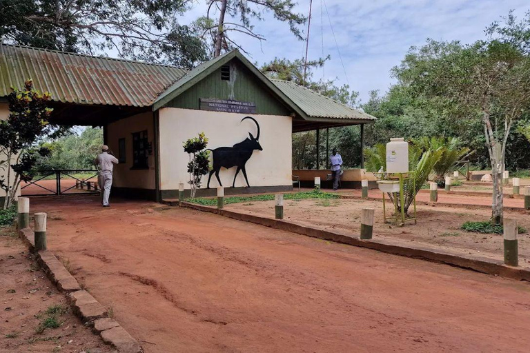 Diani: Guided day trip to Shimba Hills Reserve with lunch