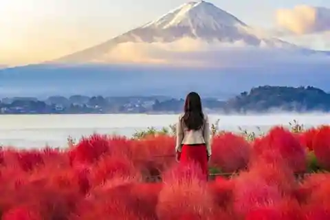 Tokyo: Mount Fuji & Hakone Private Customizable Day Tour