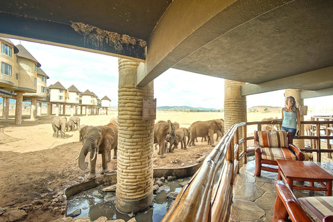 3 Días Parque Nacional de Tsavo Oriental y Santuario de Taita Hills