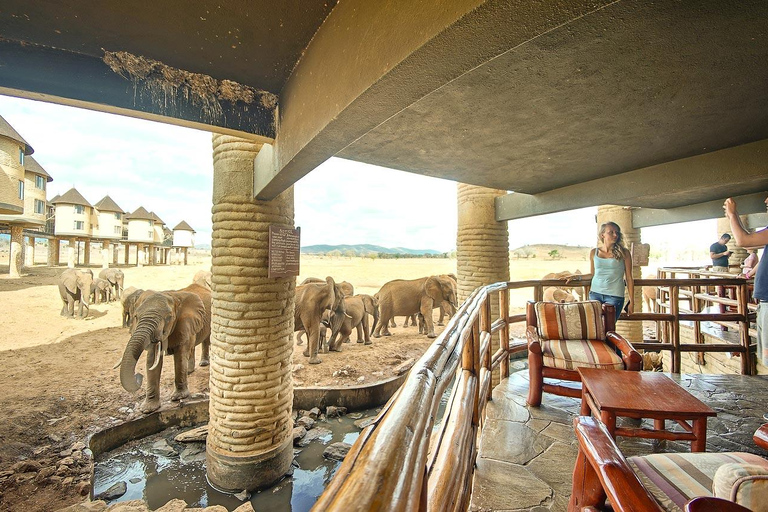 7 Days Ngutuni Sanctuary, Taita Hills, Amboseli & Tsavo