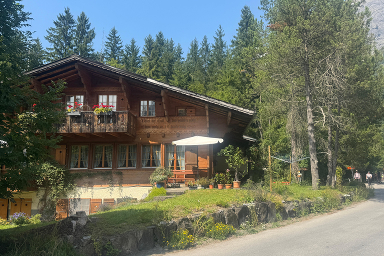 Au départ de Zurich : excursion privée d&#039;une journée à pied vers le lac turquoise d&#039;OeschinenseeAu départ de Zurich : excursion privée d&#039;une journée avec randonnée au lac t