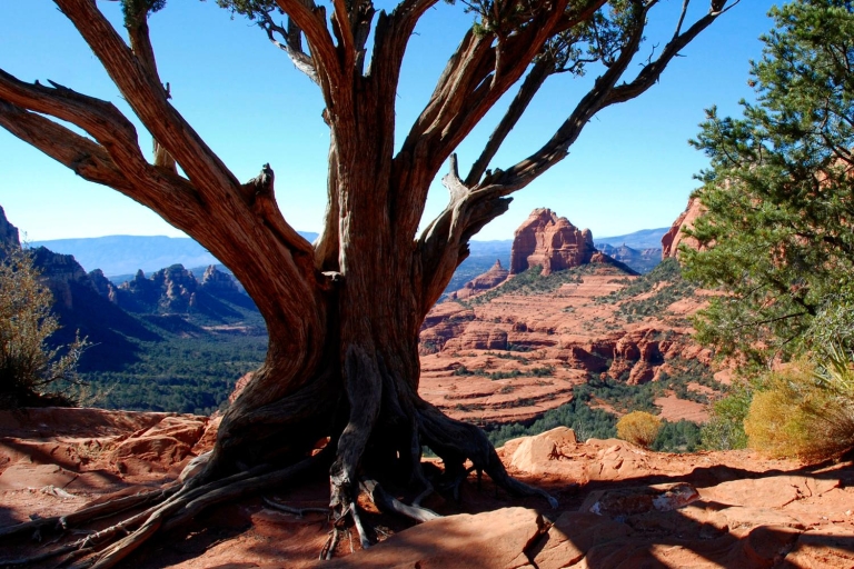 Bear Wallow Canyon on 4x4: 2-Hour Tour from Sedona Private Old Bear Wallow Canyon 2-Hour Jeep Tour