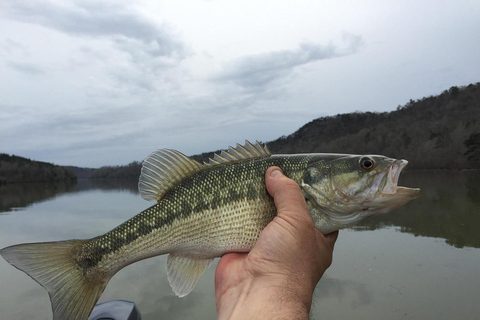Depuis Zanzibar, safari de 4 jours et pêche dans le parc national Nyerere