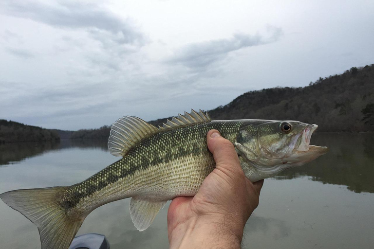 Depuis Zanzibar, safari de 4 jours et pêche dans le parc national Nyerere