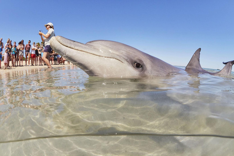 Perth: 8-Day Exmouth Tour with Ningaloo Reef Comfort Tour Twin Share Room (Adults only)