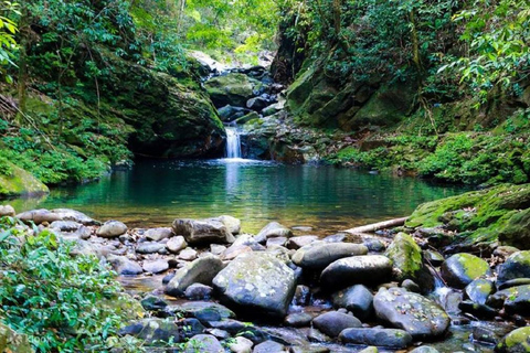 Desde Da Nang/Hue: Excursión de un día al Parque Nacional de Bach MaServicio de recogida Hue