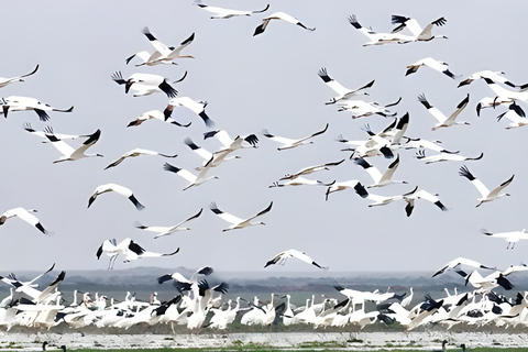 Tour privato da Agra a Bharatpur con Fatehpur Sikri nello stesso giorno