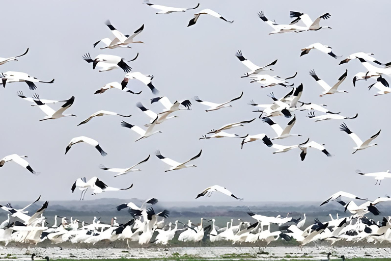 Tour privato da Agra a Bharatpur con Fatehpur Sikri nello stesso giorno