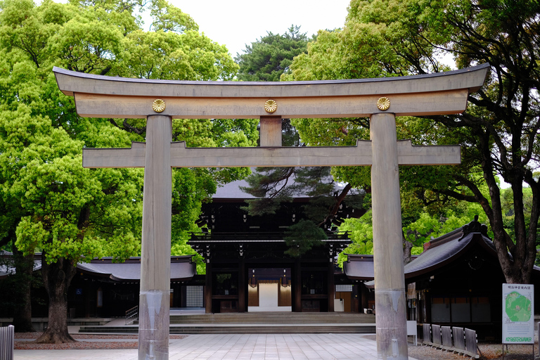 Tokyo: First/Last Day Tour for Haneda & Cruise Guests Haneda Airport → Tokyo