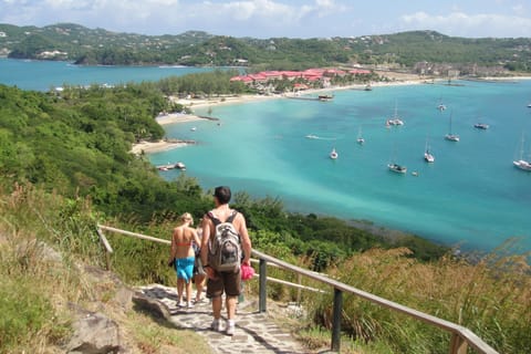 Pigeon Point and Castries Paradise Tour on Saint Lucia