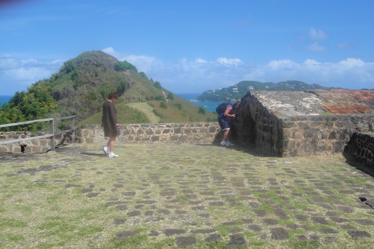 St. Lucia: Paradiesische Tour nach Pigeon Point und Castries