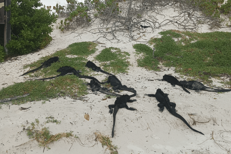 4 days tour in Galapagos Las Grietas and Tortuga Bay