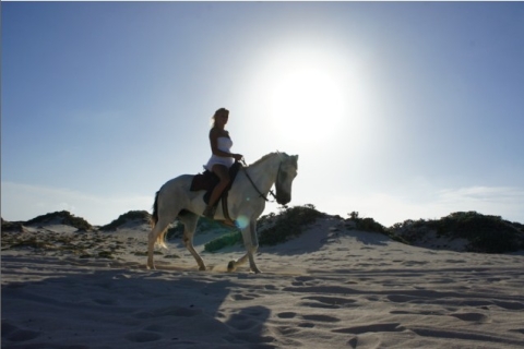 Aruba : promenade à cheval de 2 h à la chapelle d'Alto Vista
