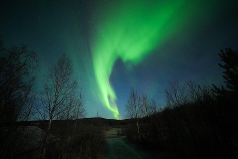 Rovaniemi: Coffee under Northern Lights & Professional Photo