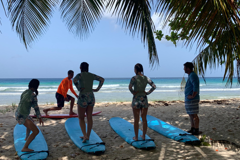 L&#039;aventure de la leçon de surf de Che