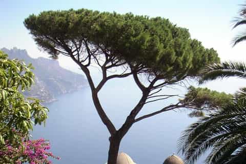 Viaje panorámico de día completo a la costa de Amalfi desde Sorrento