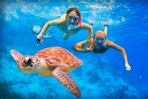 Plongée en apnée à Blue Lagoon Beach, déjeuner et transfert privé