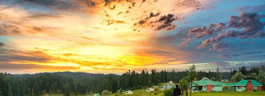 Excursion d'une journée à Yusmarg au départ de Srinagar