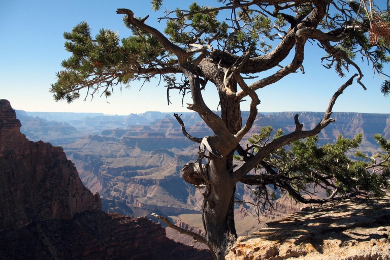 Ab Sedona, AZ: Tour zum Grand CanyonGruppentour auf Englisch