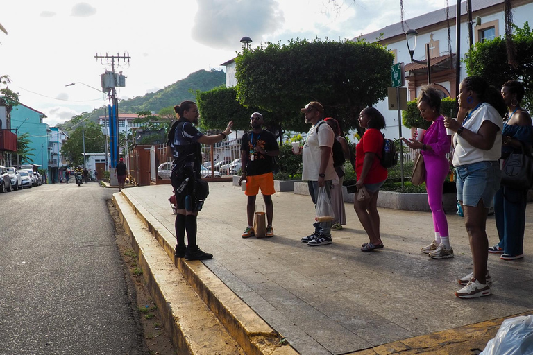 巴拿马街头美食之旅（品尝 20 多种美食）巴拿马运河区自行车探险