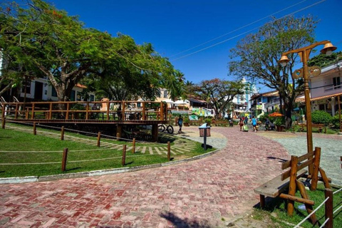 Desde Salvador: Excursión al Morro de Sao Paulo