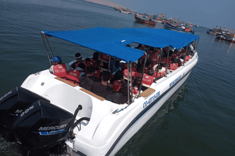 Lima: Paracas, Huacachina, and Nazca Lines Flight (2 days)