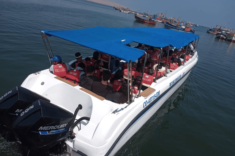 Lima: Paracas, Huacachina, and Nazca Lines Flight (2 days)