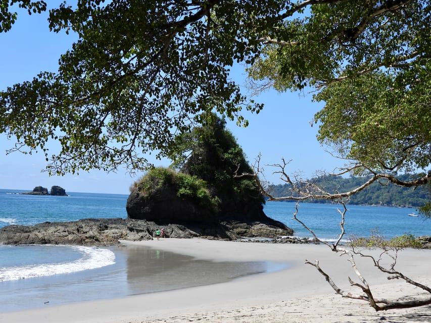 Manuel Antonio National Park Guided Tour | GetYourGuide