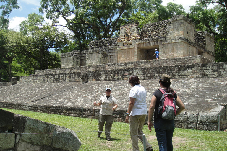 Copan Ruins Day Tour From Guatemala City Copán Full-Day Archeological Tour from Guatemala City