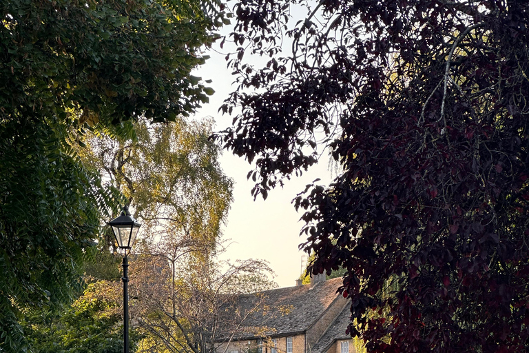 VISITE PRIVÉE DE LONDRES AVEC GUIDE BRÉSILIEN