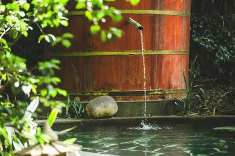 Chongqing: Bailian Hot Spring Entry Ticket