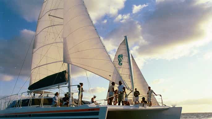 nassau catamaran sail ecosnorkel at sea garden